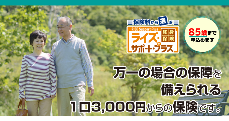 終身保険 ライズ・サポート　ご契約年齢は20歳から85歳まで　持病や入院・手術の経験がある方をささえる終身保険です。